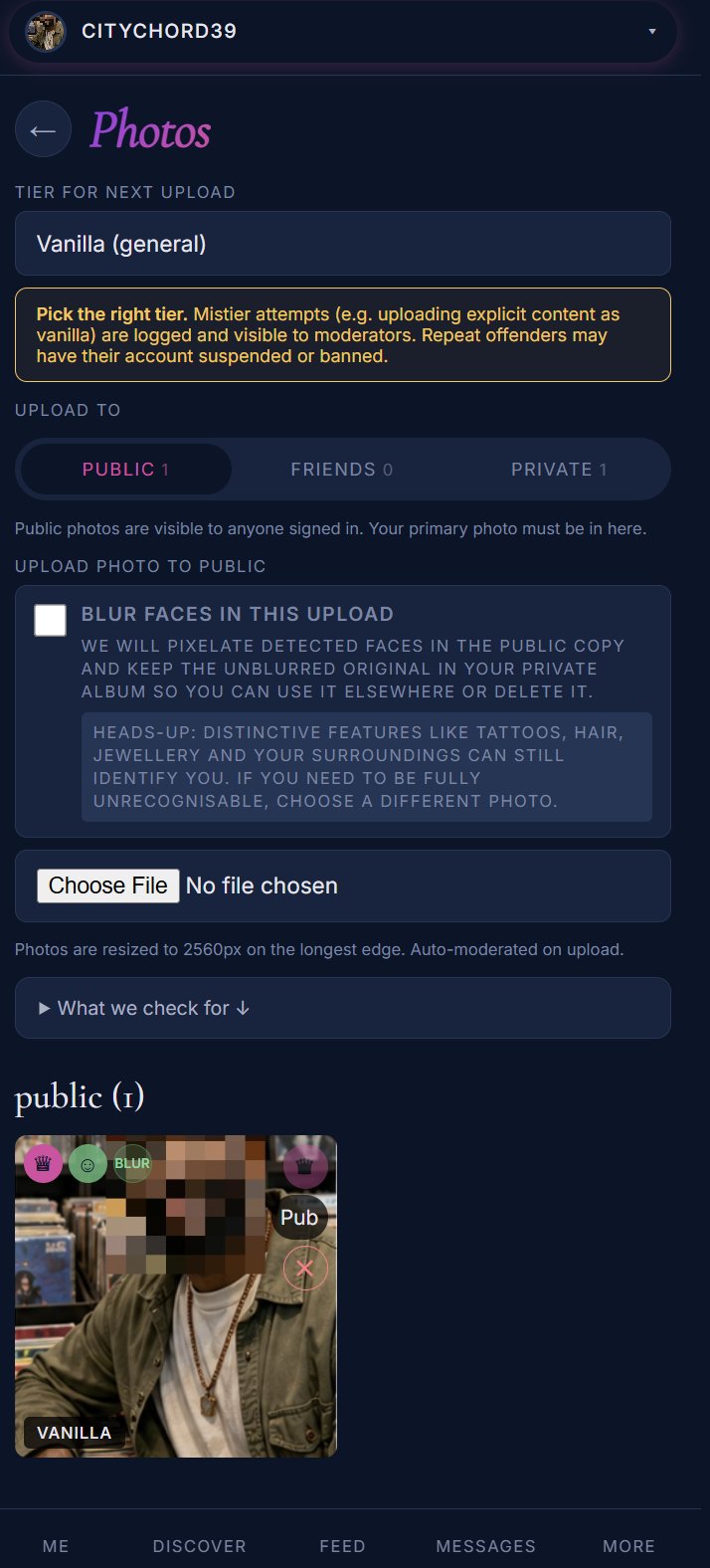thatnewone photos upload screen showing the blur faces option and a pixelated example